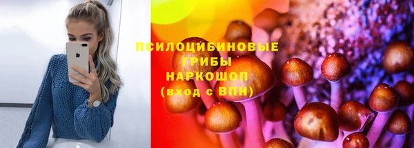 spice Гатчина