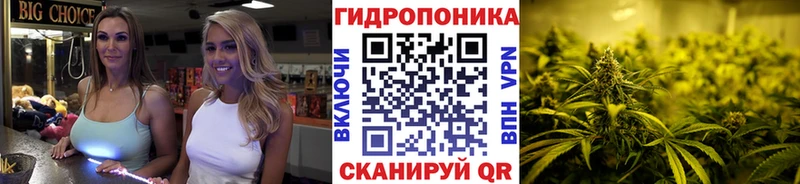 где купить наркотик  Харовск  Конопля Ganja 